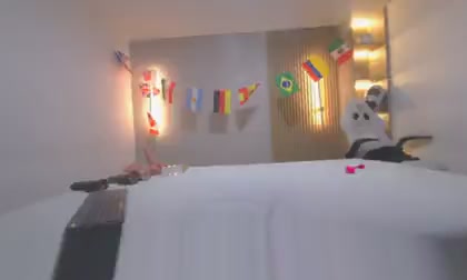 ammy_shell
