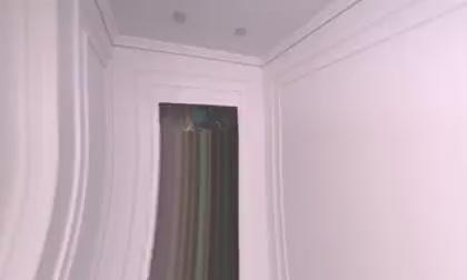 EvaSarazardje
