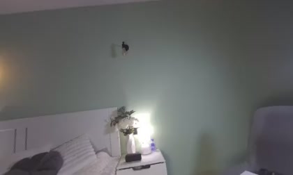 DianaaLight