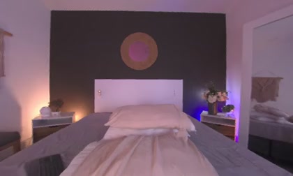 VioletPaket