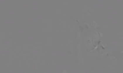 HelenaCole-