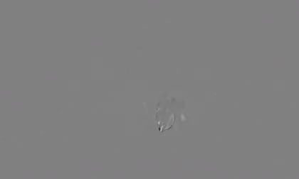 Sary_LittleSmiles