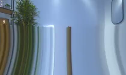 LizzieCucinella