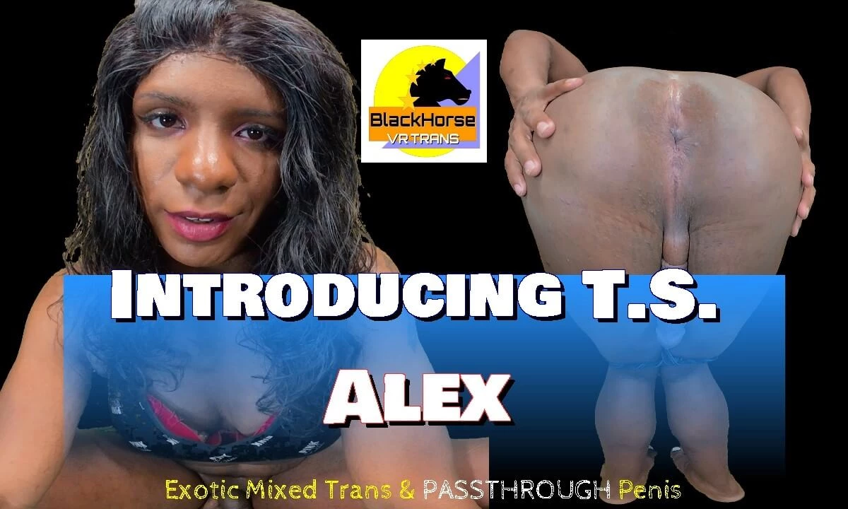 Introducing T.S. Alex - Exotic Mixed Trans & Passthrough Penis