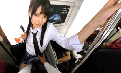 JAV Public