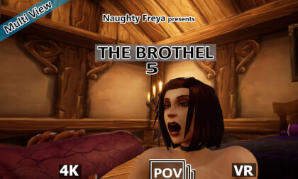 The Brothel 5 - Multi View; Cgi Porn Vr