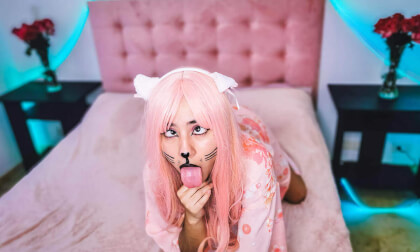 New Pet Neko Cat Wants Your Milk