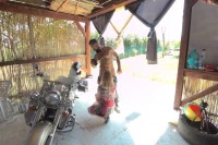 Scene photo