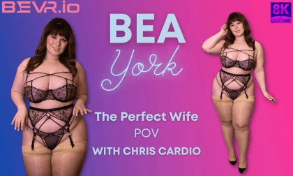 The Perfect Wife