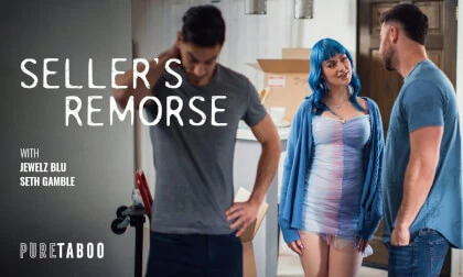 Seller's Remorse