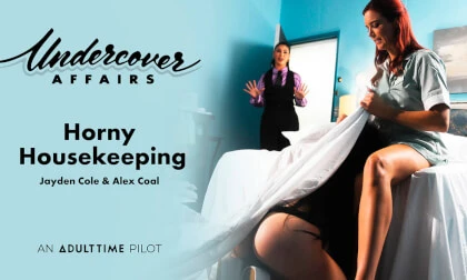 Horny Housekeeping