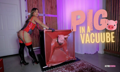 Pig In A Vacuube Feat Astrodomina