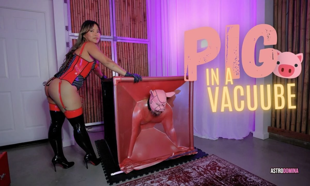 Pig In A Vacuube Feat Astrodomina