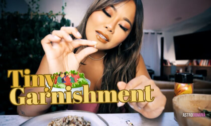 Tiny Garnishment Feat Astrodomina