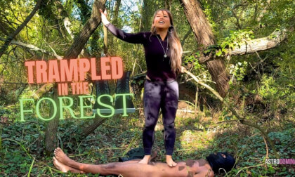 Trampled In The Forest Feat Astrodomina