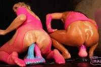 WeAreCrazy VR porn video featuring daphne klyde brittany bardot