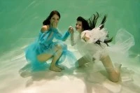 toree hareniks VR porn