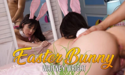 Easter Bunny