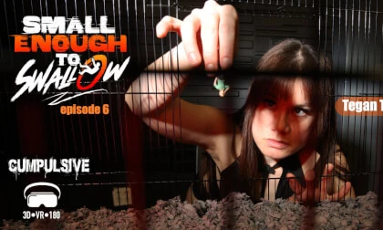 Small Enough To Swallow Episode 6