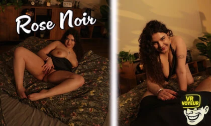 Rose Noir