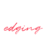 VRedging